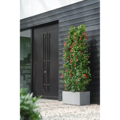 Elho Vivo Next Lang Wielen 60cm - Warm Grijs -Bloempot Kortings Winkel vivo next lang wielen 60cm warm grijs 6 1