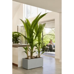 Elho Vivo Next Lang Wielen 60cm - Warm Grijs -Bloempot Kortings Winkel vivo next lang wielen 60cm warm grijs 7 1