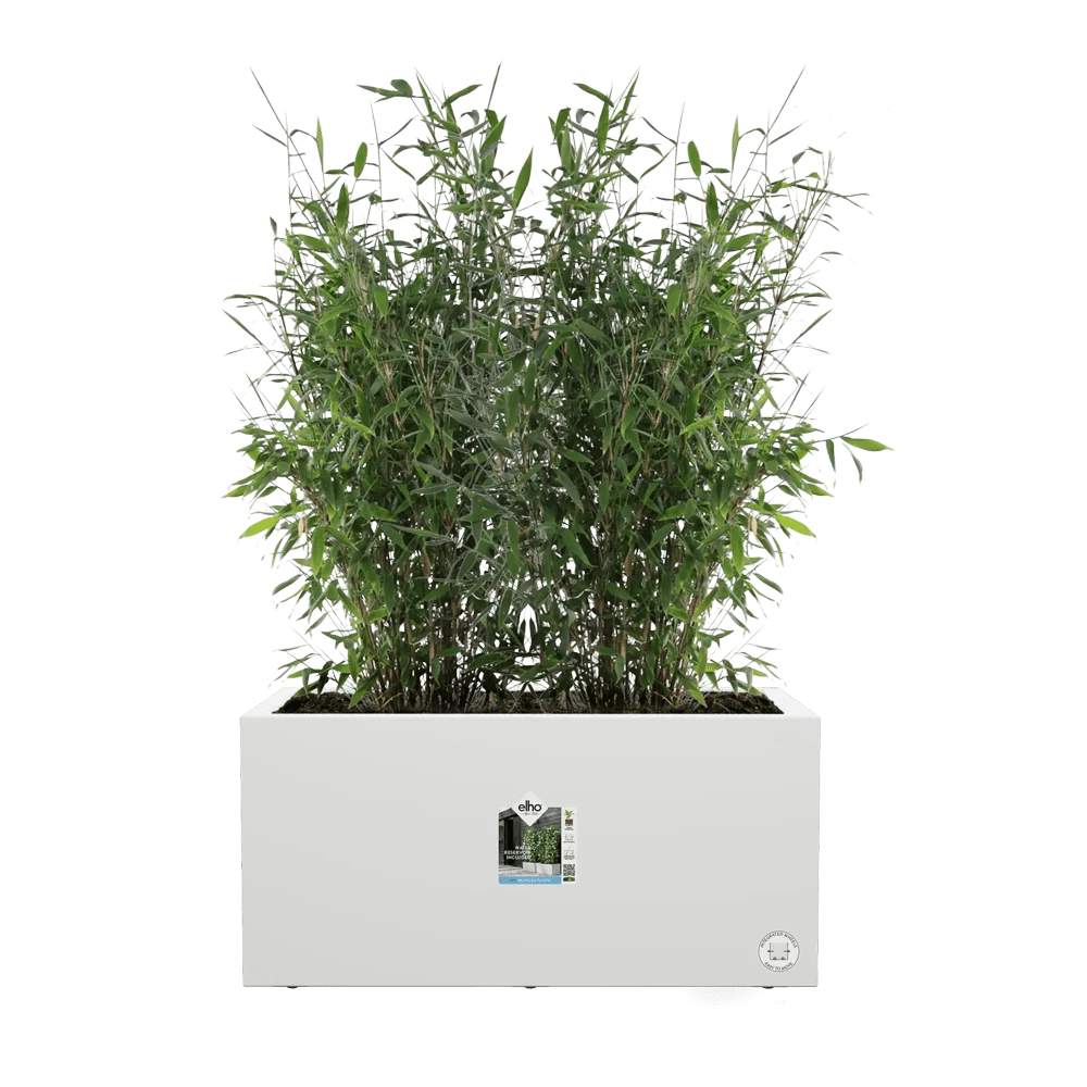 Vivo Next lang wielen 60cm - Wit Elho Vivo Next Lang Wielen 60cm - Wit -Bloempot Kortings Winkel