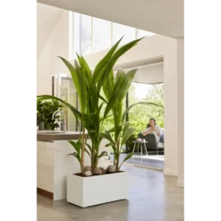 Elho Vivo Next Lang Wielen 60cm - Wit 8 Elho Vivo Next Lang Wielen 60cm - Wit -Bloempot Kortings Winkel vivo next lang wielen 60cm wit 7 1