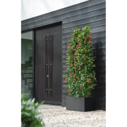Elho Vivo Next Lang Wielen 80cm - Living Black -Bloempot Kortings Winkel vivo next lang wielen 80cm living black 6 1